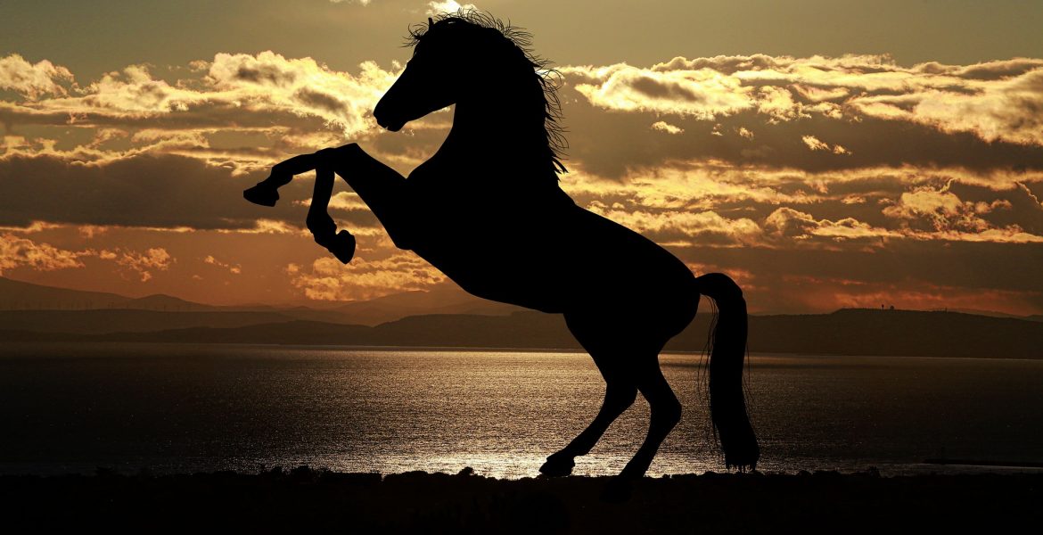 A lovasiskola és az egészség kapcsolata: hogyan segíti elő a lovaglás az egészséges életmódot?